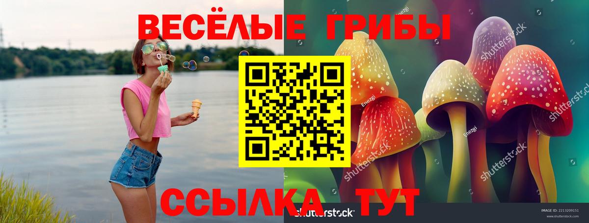 Нижнекамск  где можно купить   Галлюциногенные грибы мухоморы  Вход с VPN  Псилоцибиновые грибы Magic Shrooms 